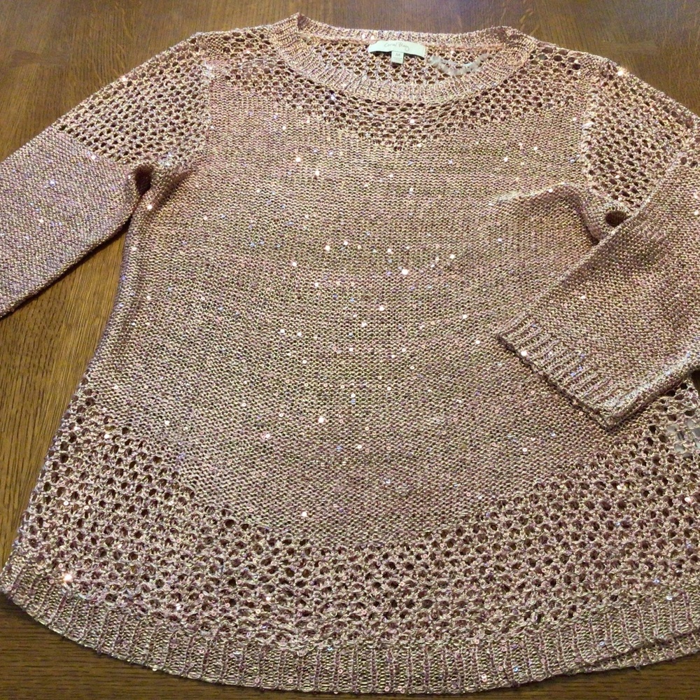 Blush color sweater with sequins threaded into the fabric.